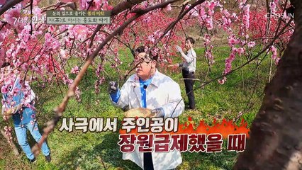 봄의 미학 눈과 입으로 즐기는 홍도화 TV CHOSUN 20210424 방송