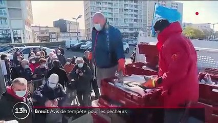 Brexit : les pêcheurs du Nord interdits de pêche dans les eaux britanniques