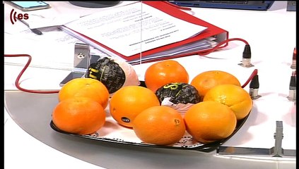 Por fin es Viernes: 'Península', vuelven los zombis surcoreanos