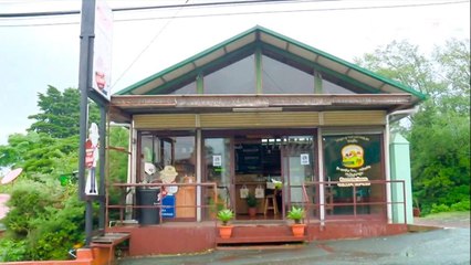 bd-viernes-de-paseo-230421