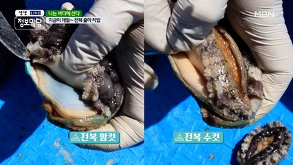 궁금해! 노화도 전복이 특별한 이유?