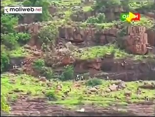 Des racines de deux arbres forment la carte d'Afrique et le nom du Prophète Mohamed (PSL) Suivez la video