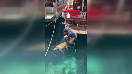 Kaş'ta yüzgecine misina dolanan caretta caretta kurtarıldı
