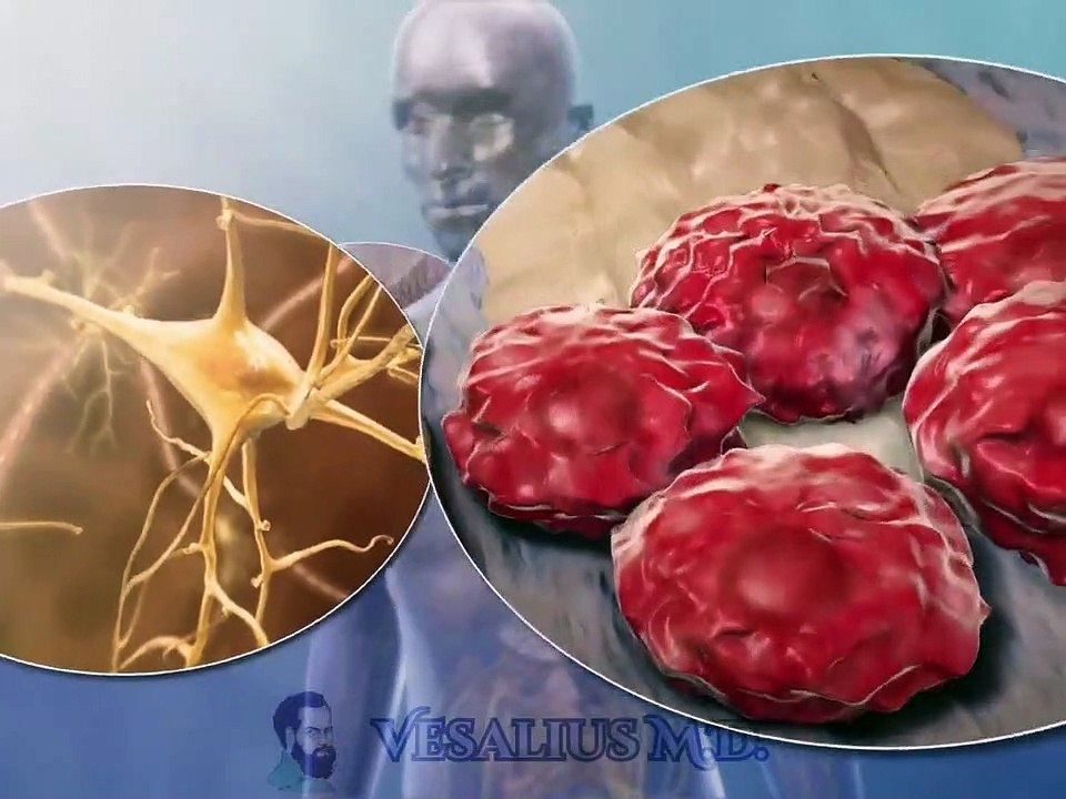 Generalidades de la CÉLULA