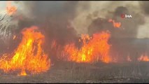 Son dakika haberleri | İznik Gölü kıyısında büyük yangın: 15 dönüm kül oldu