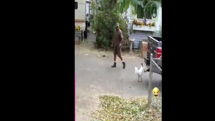 funny delivery fails