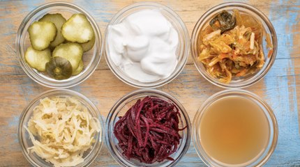 What is Lacto Fermentation?