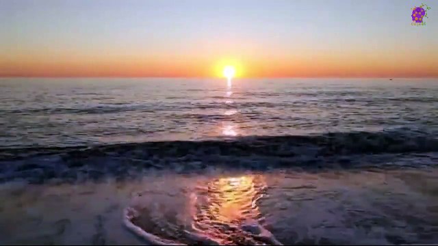 15 Minute Healing Music for Stress Relief | Deep Relaxation for Sleep | Soothing | Calming | Anti-Depression | Positive Energy | Instrumental | Peaceful | Nature | Meditation | Beautiful