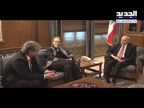 خلية العبدلي على طاولة بري - عنان زلزلة