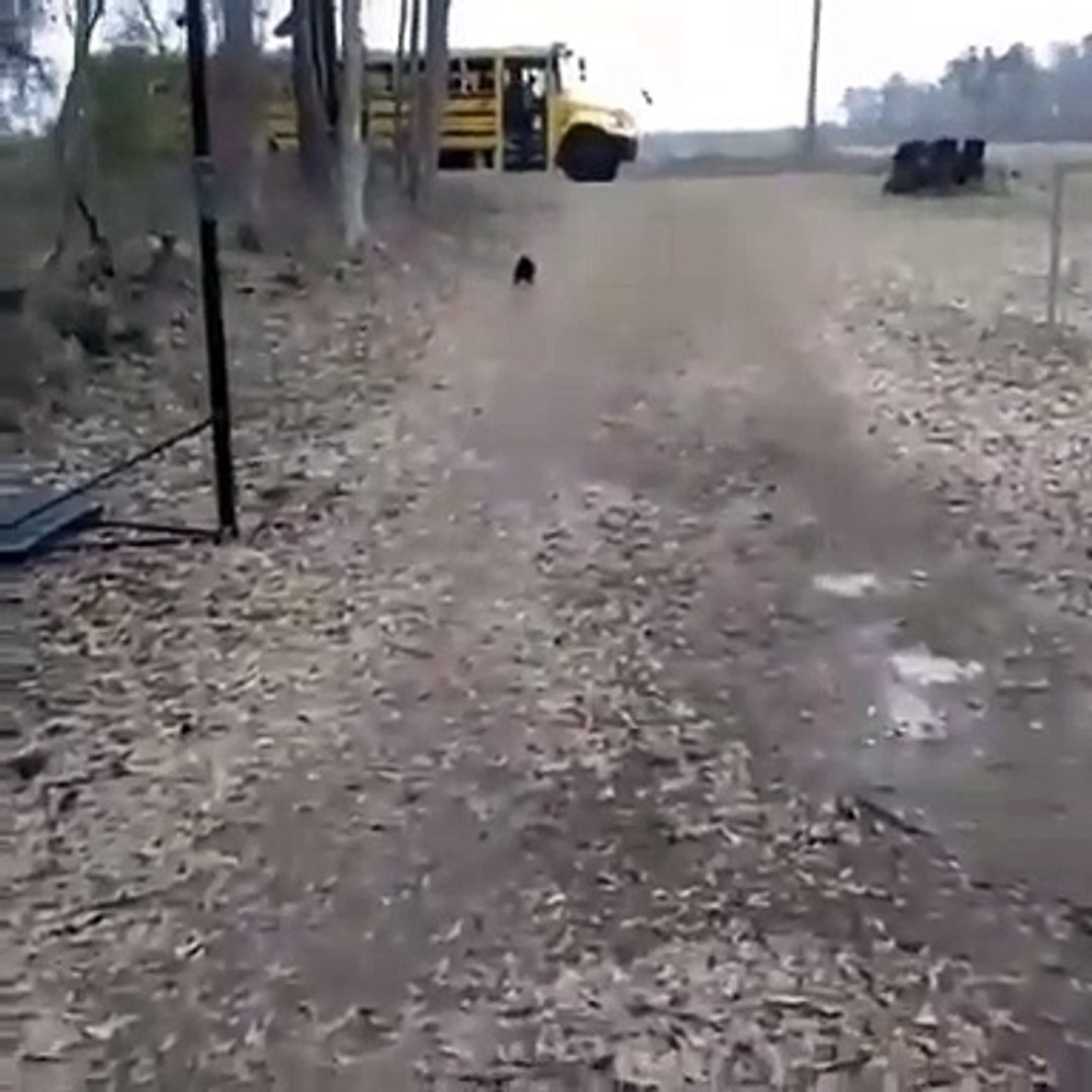 Best videos, Top videos, Viral videos Funny videos no. 151