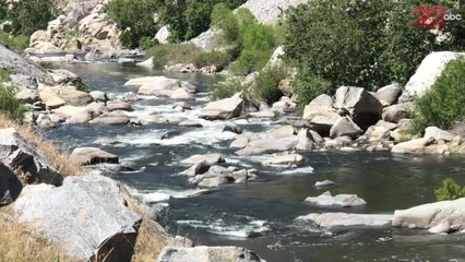 Science Sundays: Water Safety (Full Version)