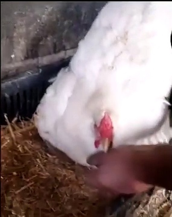 Best videos, Top videos, Viral videos Funny videos no. 160