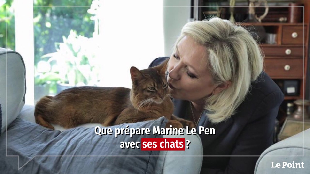Marine Le Pen, future éleveuse de chats ?