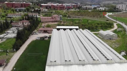 Pandemide sebze fidesine talep tavan yaptı