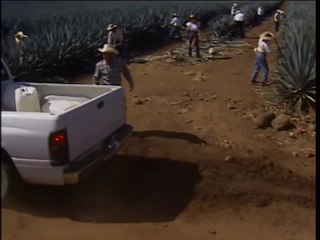 Destilando Amor ⚜️ Capítulo 02 Dublado