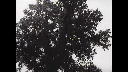 Kur zbardhi nje dite - pjesa 2HD