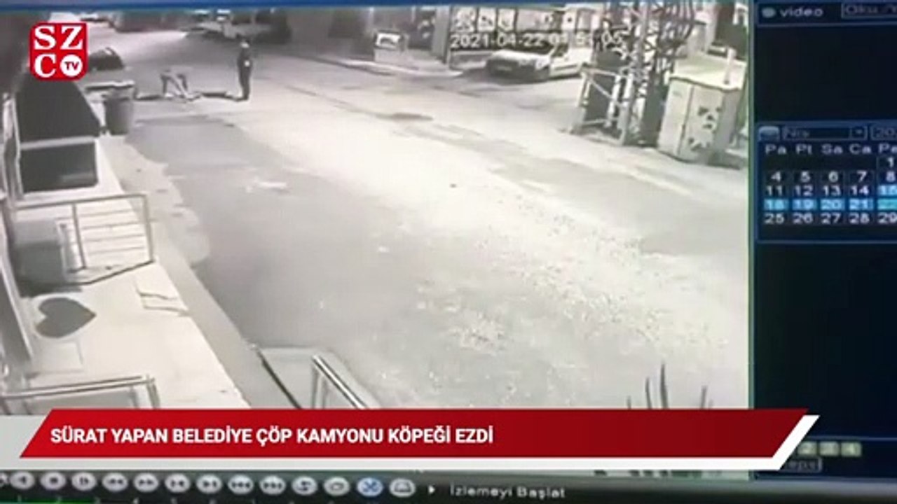 Sürat yapan belediye çöp kamyonu köpeği ezdi
