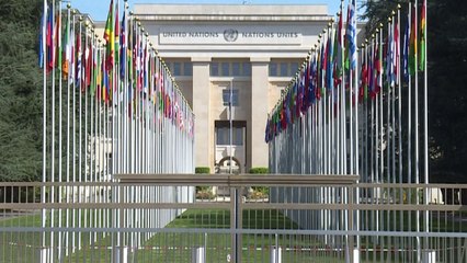 ¿Por qué botamos 931 millones de toneladas de comida a la basura cada año?