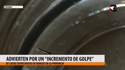 Advierten por un “incremento de golpe” de casos sospechosos de dengue en Misiones