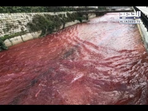 من المسؤول عن تشويه نهر البردوني؟ - ليال بو موسى