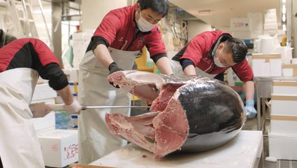 Inside the largest fish market in the world, where a single tuna can sell for up to $3 million