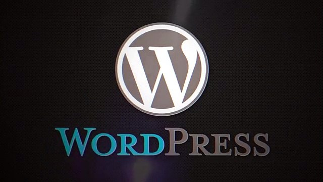 WordPress in UrduHindi by DigiSkills Meet the WordPress Superheroes - Salman Saeed 113