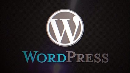 WordPress in UrduHindi by DigiSkills   Meet the WordPress Superheroes - Salman Saeed 113
