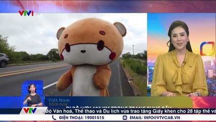 Chuyện lạ: Đi bộ hơn 600km trong trang phục Gấu  Tin Tức 24h Mới Nhất