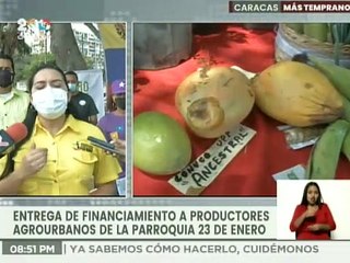 Gobierno entrega financiamiento para impulsar 17 espacios agroproductivos en la parroquia 23 de Enero