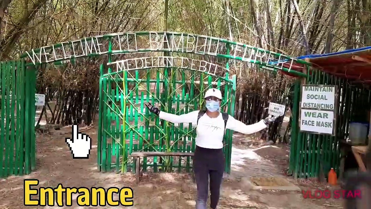 Bamboo Farm Brgy. Luy-A Medellin Cebu | Bamboo Forest Medellin Cebu Philippines 