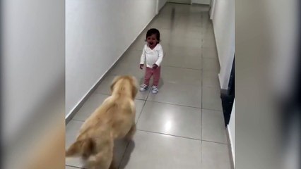 Golden'la bebeğin muhteşem dostluğu