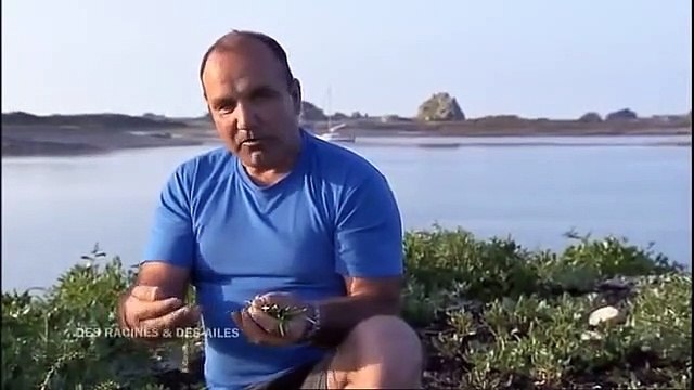 En Bretagne, De La Baie De Morlaix Au Cap Fréhel - (Partie 4/6)