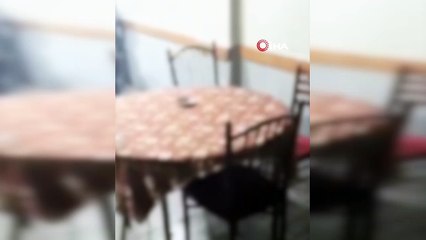 Kısıtlama ihlali yapan kahvehaneye kumar baskını: 10 kişiye 68 bin 750 lira ceza