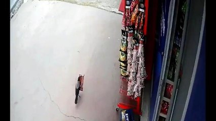 Pendik'te 'cips hırsızı' karga, iş yeri sahibine yakalandı