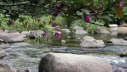 15 Minute Deep Focus Music | Concentration | Study | River | Sleep | Calming Down | Soothing | Being in Present Moment | Meditation | Instrumental | Slow | Healing |  Relaxing | Mindfulness | Self-love