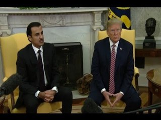 ترامب يستقبل أمير قطر ويؤكد ان العلاقة بين البلدين "بأفضل حال"