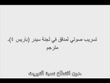 الردّ على التسجيل الصوتي للمدقق الدولي حول مؤتمر سيدر سجل في لبنان  -  هادي الامين