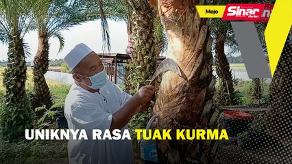 Uniknya rasa tuak kurma
