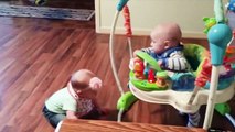 Cute Twins Baby Fighting Over - Funniest Twins Baby Video