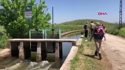 SULAMA KANALINA DÜŞEN İMAMIN CESEDİNİ, KOL-KOLA ARAMA YAPAN VATANDAŞLAR BULDU