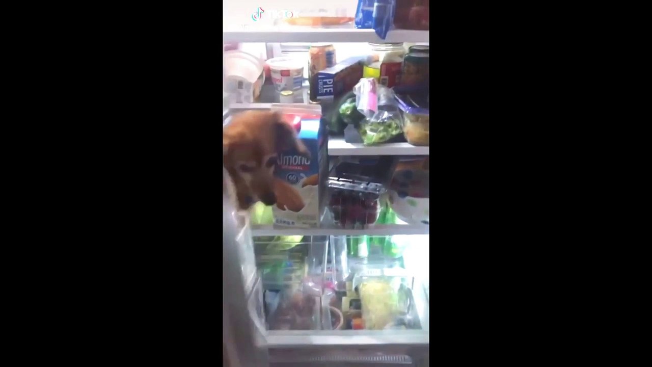 My Video 20