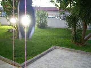 Sampler Tego & Estilo libre(promo 01)