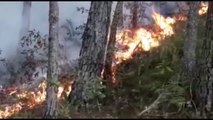 Extinguen fuego en Sierra de Bahoruco