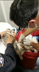 AYAĞINA 'MASKE' İPİ DOLANAN MARTI, DENETİM YAPAN EKİPLERİN YANINA DÜŞTÜ