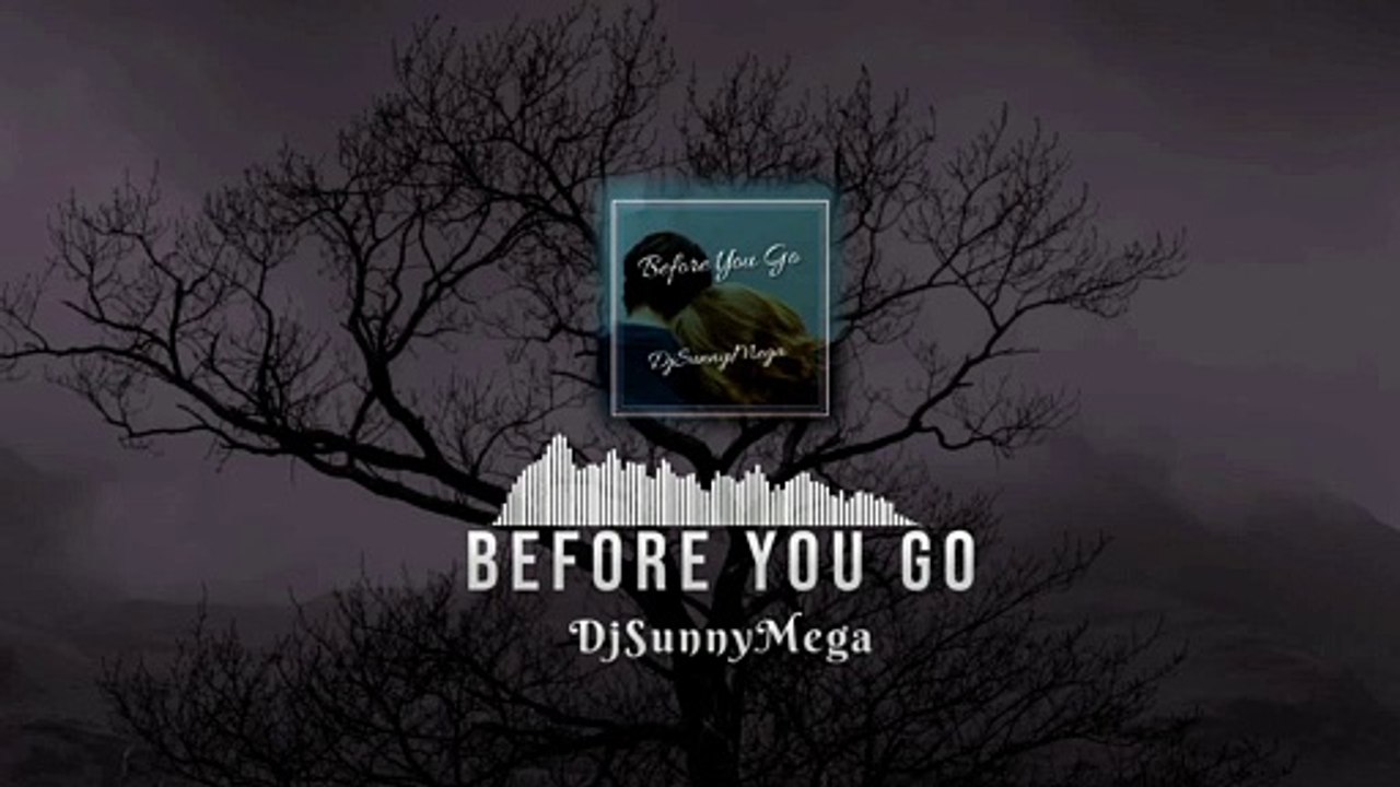 DjSunnyMega - Before You Go