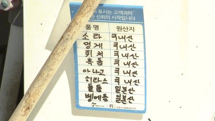 일본산 수산물 구분?..."현실적으로 불가능" / YTN