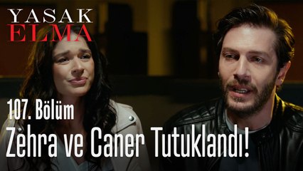 Zehra ve Caner tutuklandı - Yasak Elma 107. Bölüm
