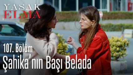 Şahika, Ömer yüzünden kavgaya karıştı - Yasak Elma 107. Bölüm