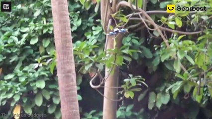 10 Cool Gadgets on Amazon ▶ 2021