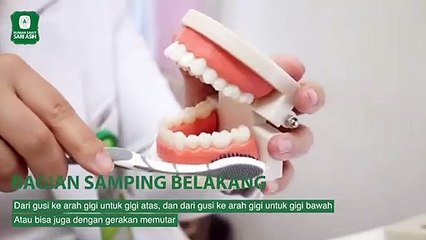 Cara Menyikat Gigi Yang Baik Dan Benar | Tips Kesehatan Bersama Drg. Putri Lestari Anggiarini , Spkg